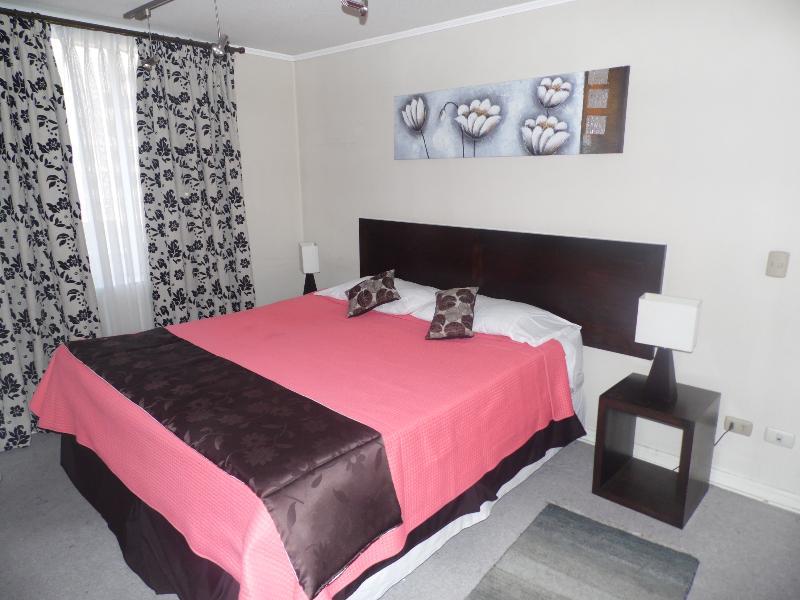 Santiago Apartamentos Centro Экстерьер фото